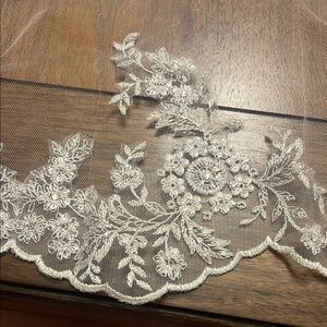 Elegant Lace mid back veil
